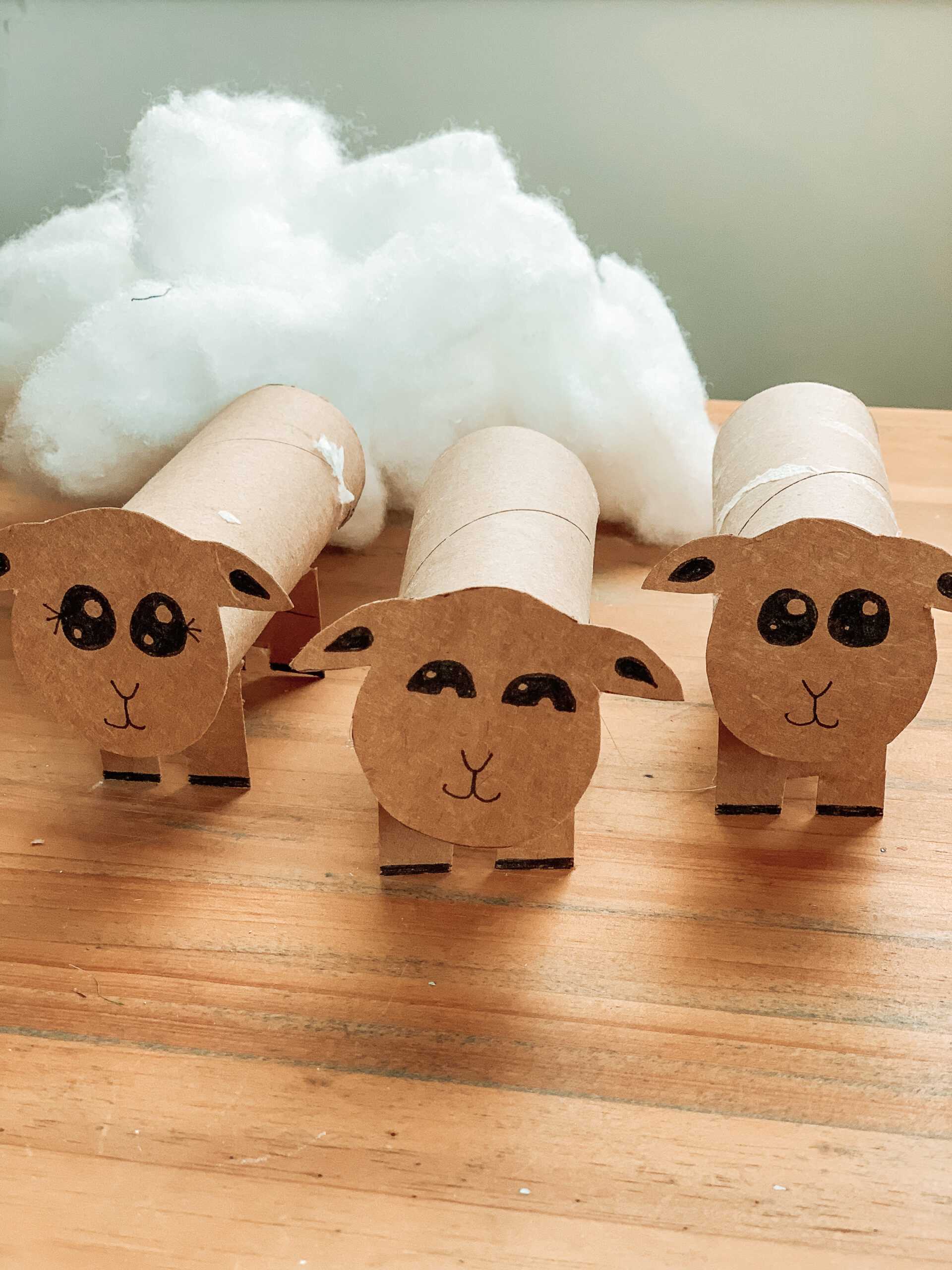 Steps to create toilet paper roll sheep kids craft