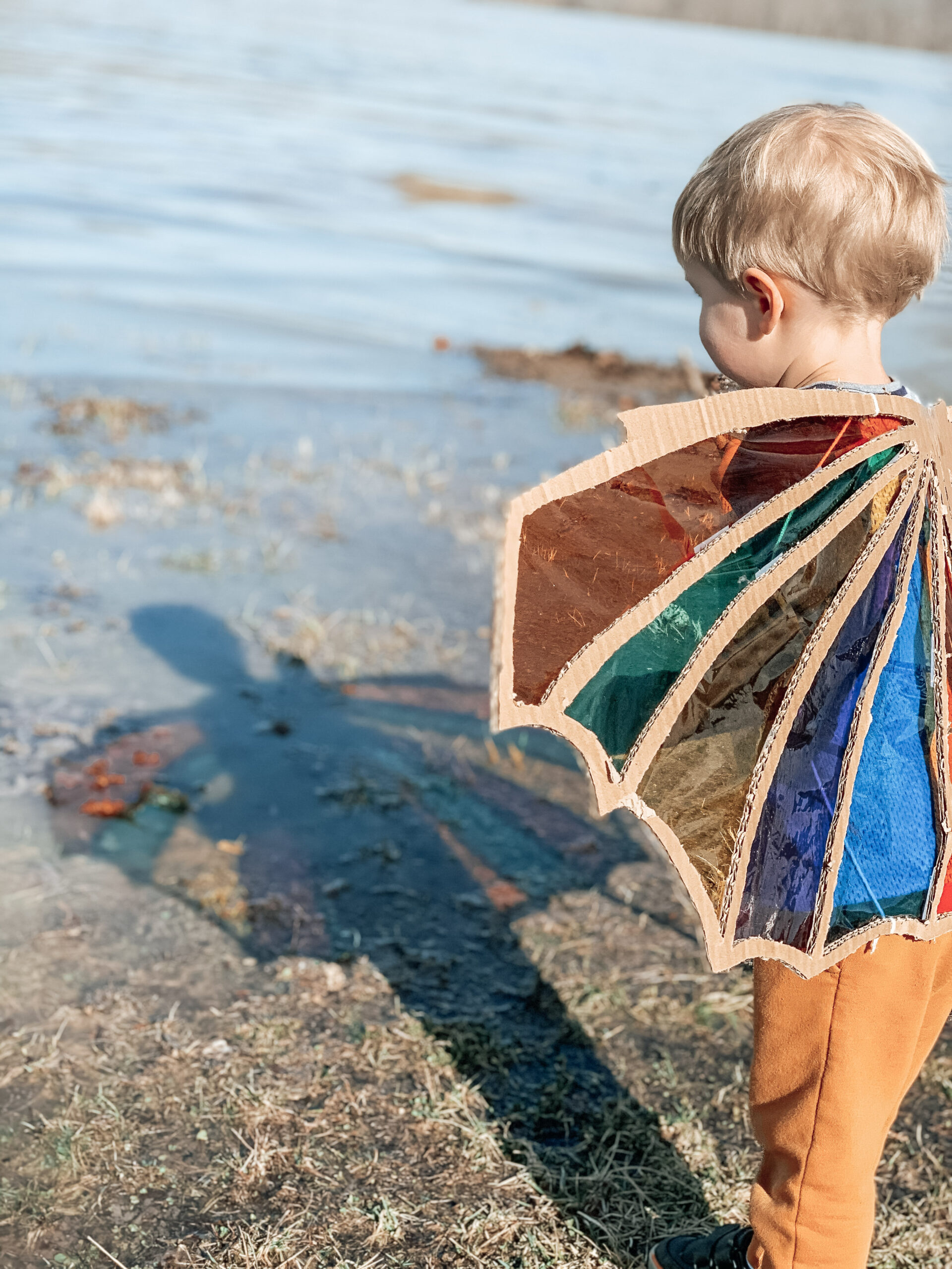 Kid wearing Dragon Wings casting a colorful shadow into the water using repurposed cardboard