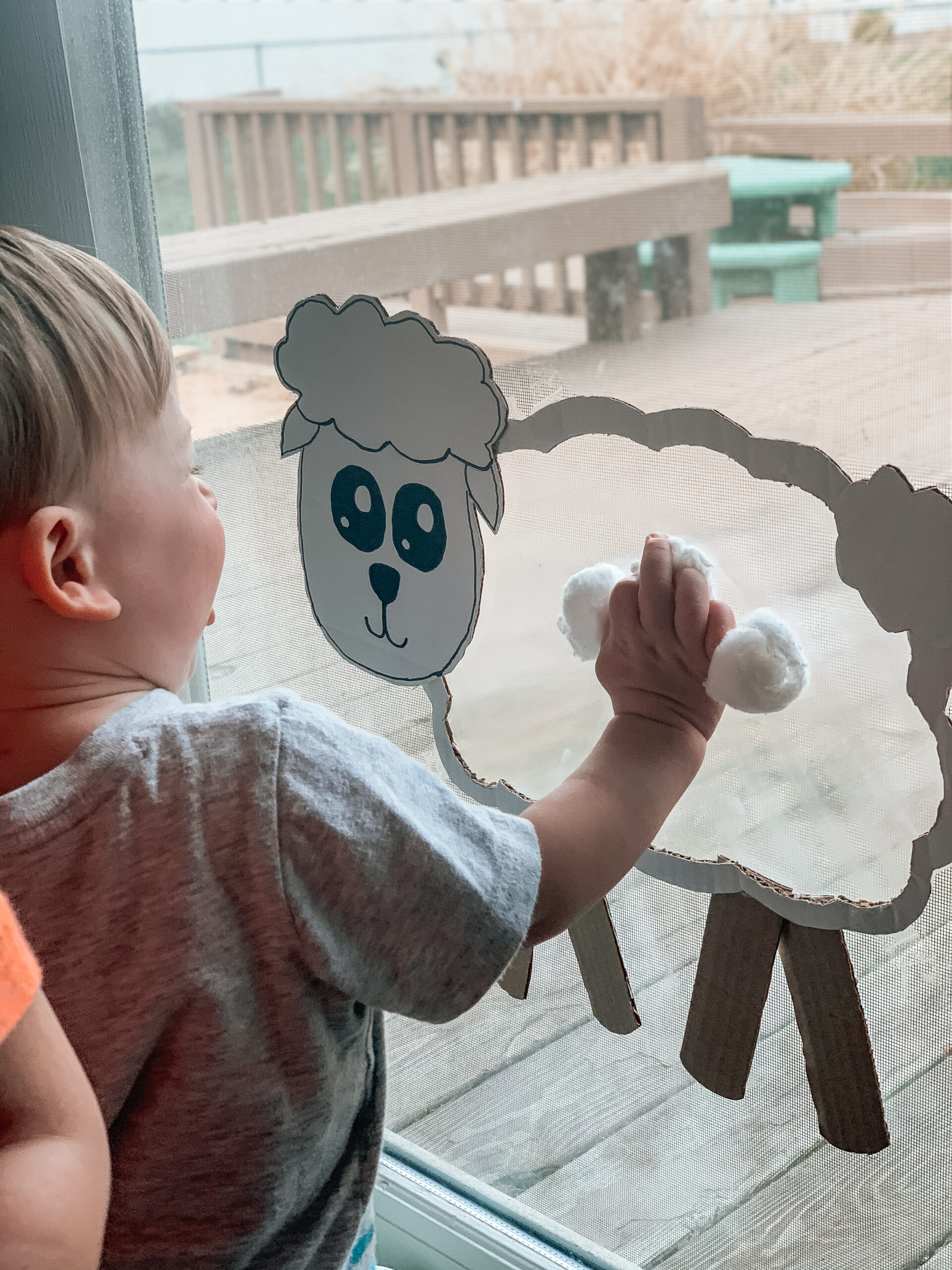 kid playing with cotton ball sheep activity 