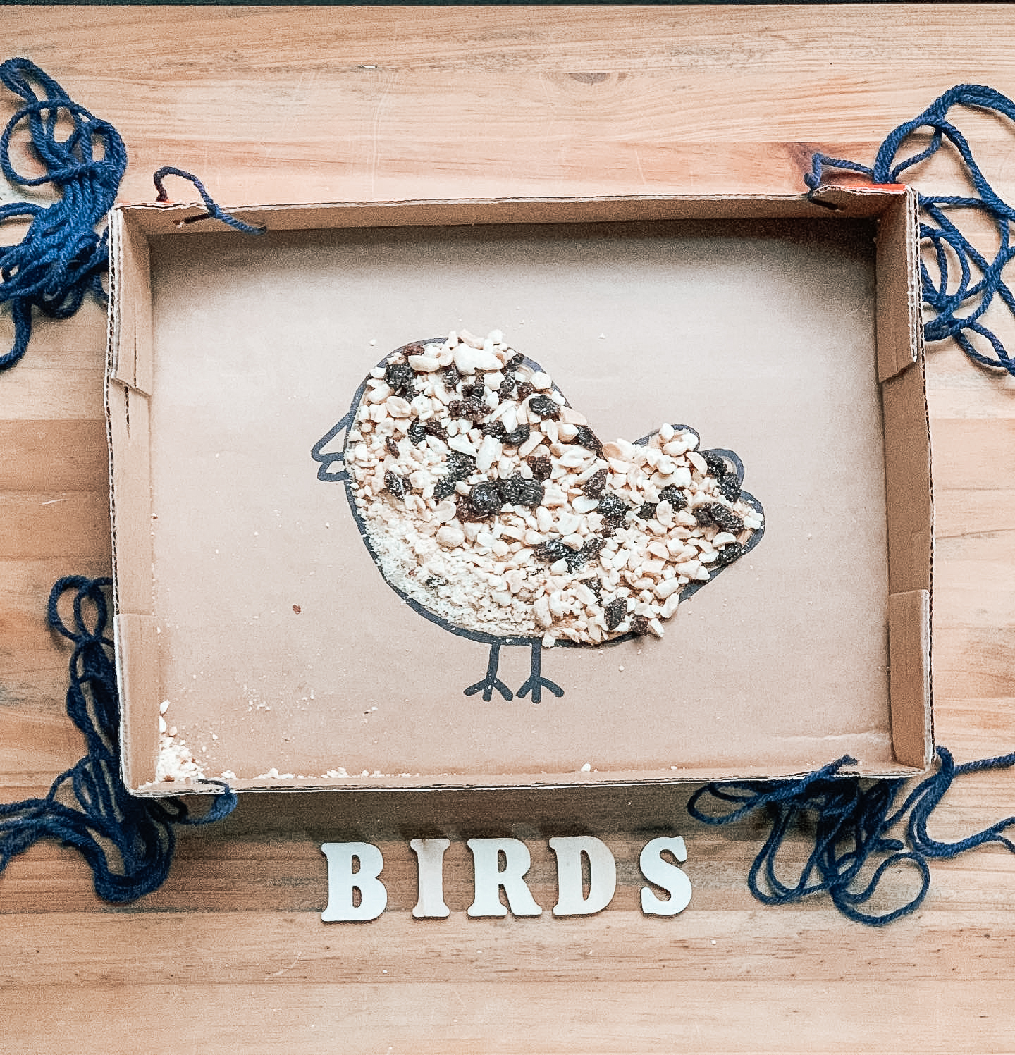 Cardboard box DIY bird feeder