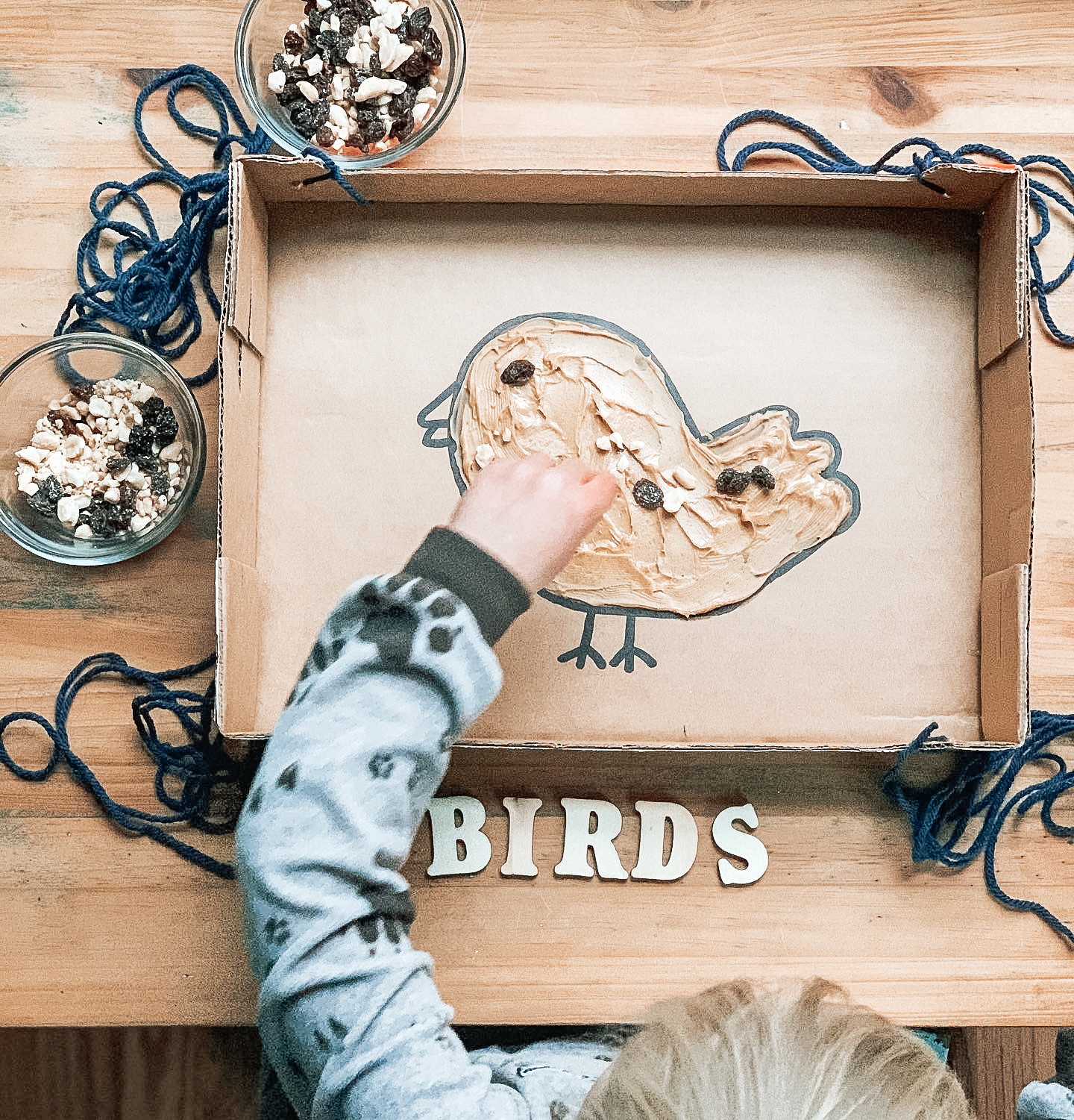 DIY cardboard box bird feeder for kids